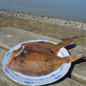 Gerookte schar (op de graat)