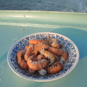 Langoustinestaartjes